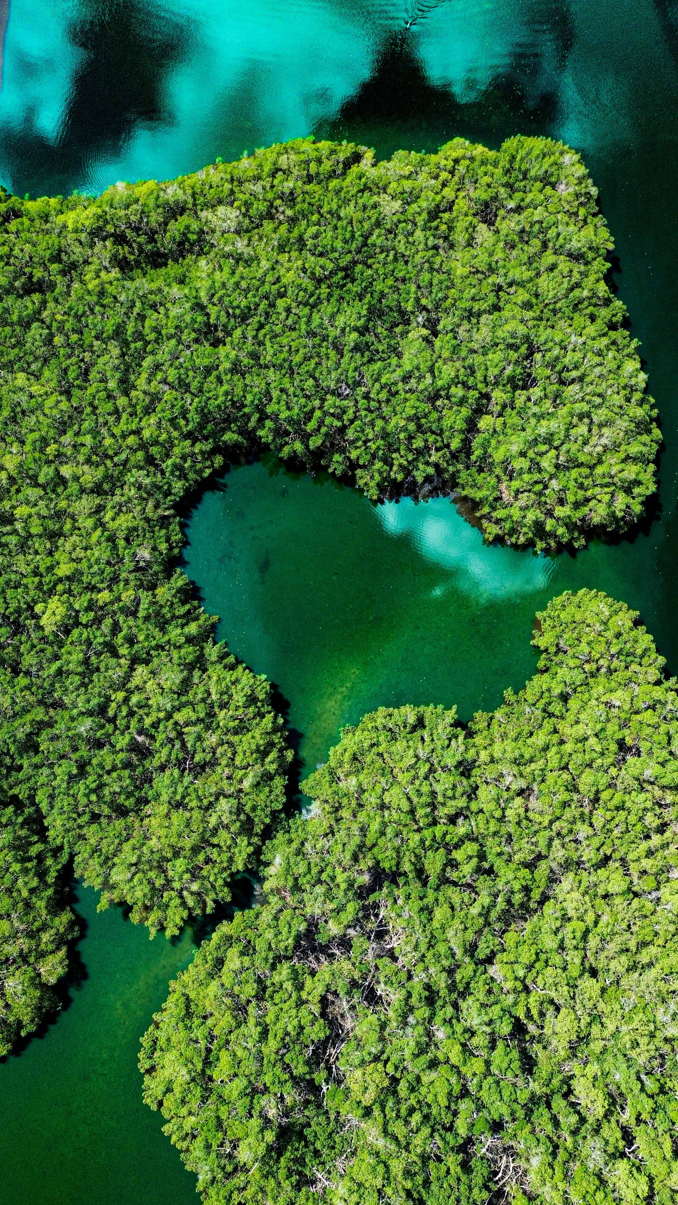Aerial mangrove heart lagoon